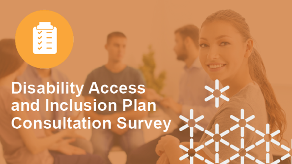 Disability Access and Inclusion Plan Consultation Survey with picture of three people in the background